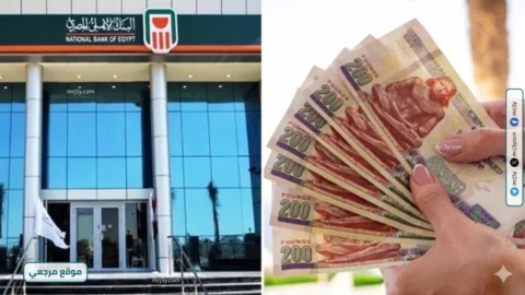 البنك الأهلي يطرح شهادات ادخار متنوعة بعوائد 2026