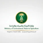 البيئة بالشرقية و الموانئ تنفذ ورشة استدامة البيئة البحرية