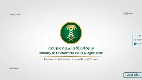 البيئة بالشرقية و الموانئ تنفذ ورشة استدامة البيئة البحرية
