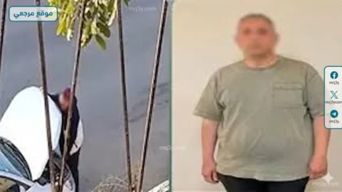 التعليم العالي