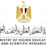 التعليم العالي تتابع واقعة خادشة للحياء أمام كلية بمصر الجديدة