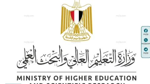التعليم العالي