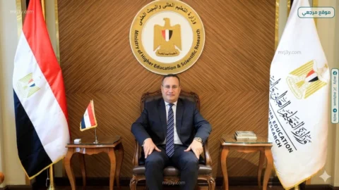 التعليم العالي