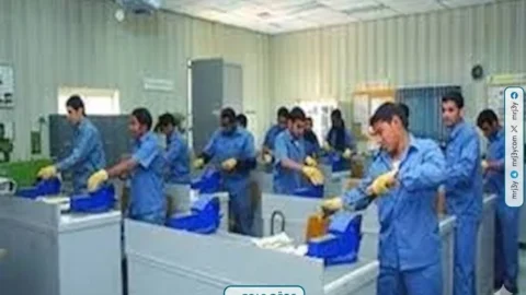 التعليم الفني