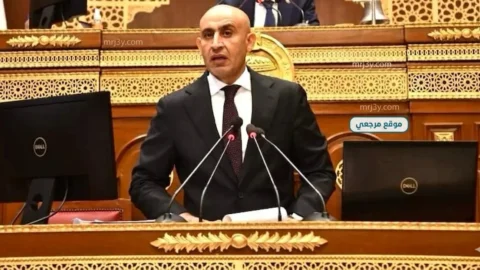 التعليم تتيح منحًا يابانية للطلاب المصريين في مجالات التكنولوجيا