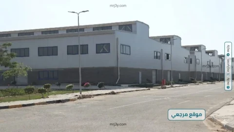 التنمية الصناعية