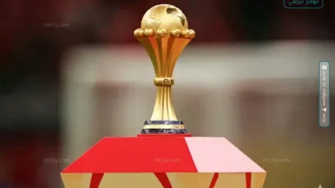 كأس أمم إفريقيا 2027
