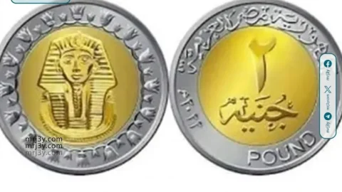 الجنيه المعدني