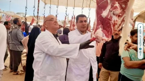 الخدمات البيطرية تكثف الرقابة على المجازر الداجنة خلال أبريل