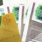 خبير اقتصادي: التحول للدعم النقدي يعيد هيكلة التموين في مصر