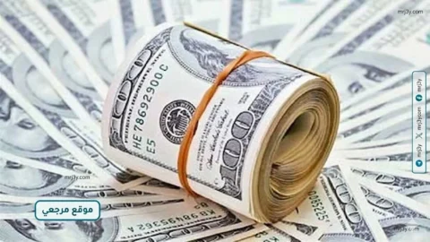 استقرار سعر الدولار اليوم في مصر يبقيه قرب مستوى 53 جنيها