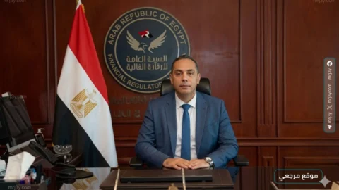 الرقابة المالية