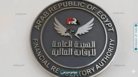 الرقابة المالية
