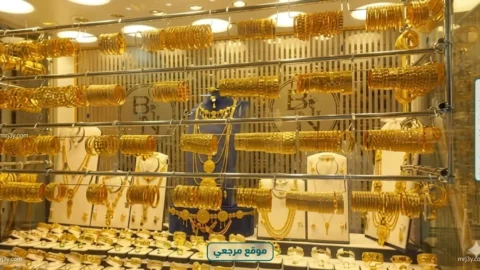 الرقابة المالية