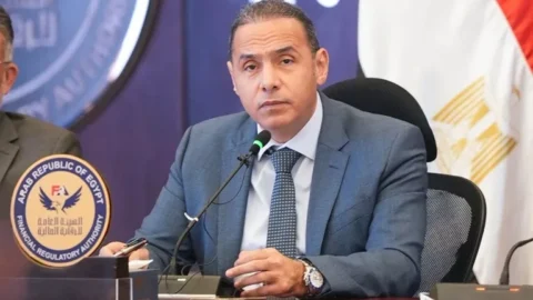 الرقابة المالية
