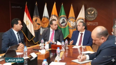 الرقابة المالية تبحث مع الرعاية الصحية تكامل التأمين الشامل في مصر