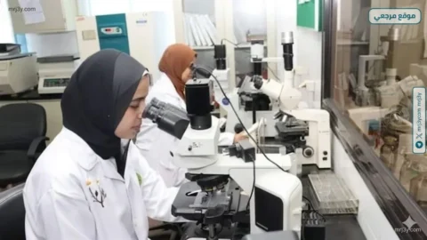 الصحة تسحب 220 ألف عينة مياه خلال 3 أشهر
