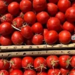 أسباب ارتفاع أسعار الطماطم في الأسواق المحلية
