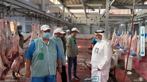 الغذاء والتغذية تكثف الرقابة على المسالخ قبل عيد الأضحى
