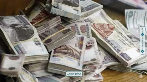 المالية تبدأ صرف مرتبات مايو قبل عيد الأضحى بعدة أيام