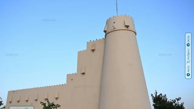 المجسمات الجمالية
