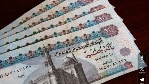 المعاشات 2026