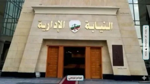 النيابة الإدارية