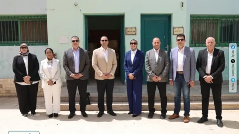 الوادي الجديد