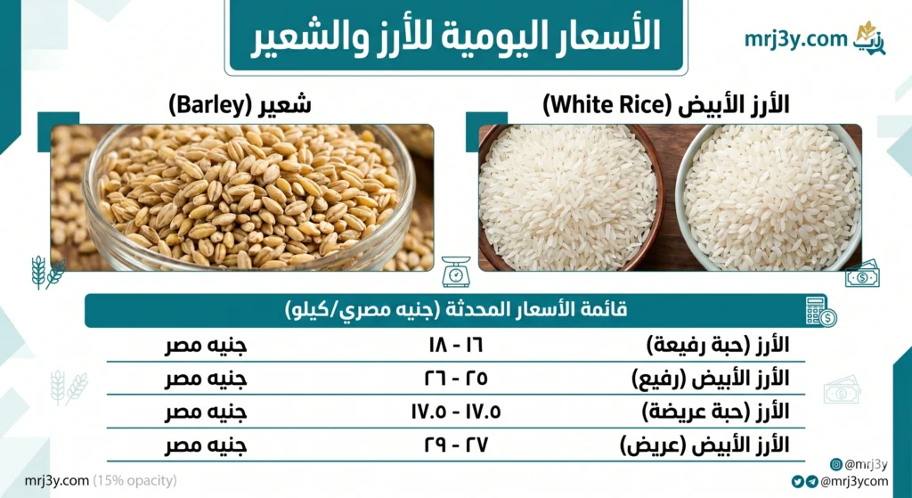 بكام الطن؟.. سعر الأرز الشعير اليوم بين استقرار الطن وتفاوت الكيلو في الأسواق