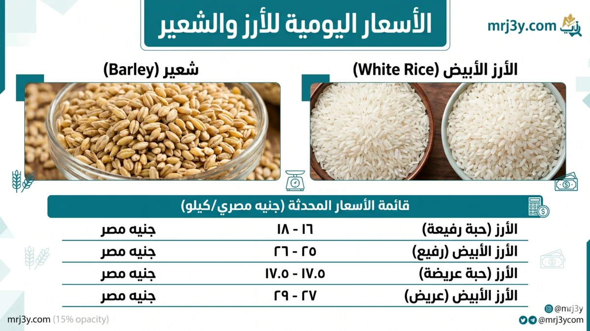 بكام الطن؟.. سعر الأرز الشعير اليوم بين استقرار الطن وتفاوت الكيلو في الأسواق
