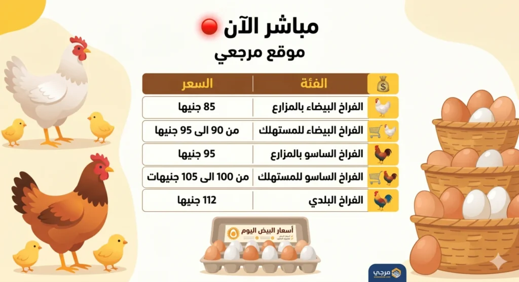 بورصة الدواجن الآن.. استقرار أسعار الدواجن والبيض في مصر اليوم رغم تقلبات تكاليف الإنتاج