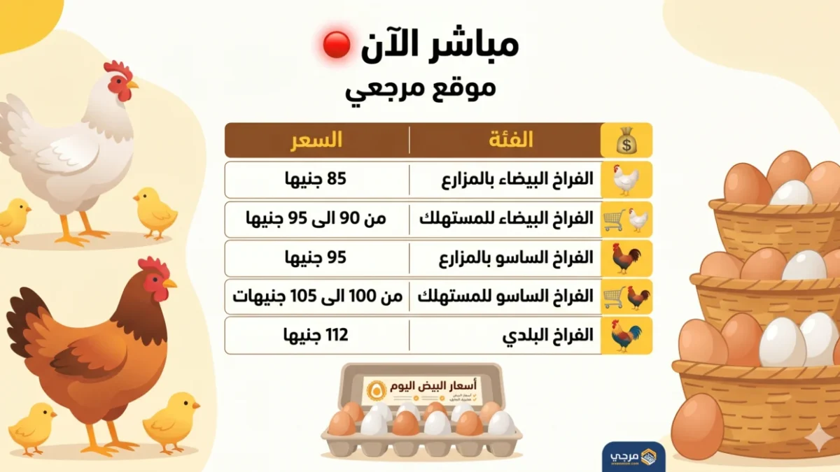 بورصة الدواجن الآن.. استقرار أسعار الدواجن والبيض في مصر اليوم رغم تقلبات تكاليف الإنتاج 1 بورصة الدواجن الآن.. استقرار أسعار الدواجن والبيض في مصر اليوم رغم تقلبات تكاليف الإنتاج