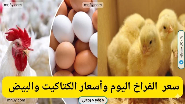 أسعار الدواجن اليوم