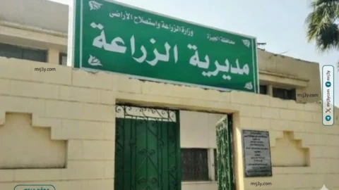 تسمين الرومي