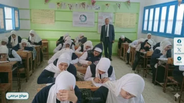 تعليم القاهرة