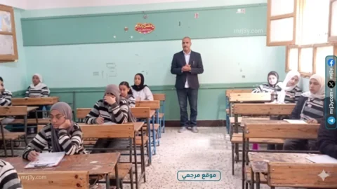 تعليم بني سويف