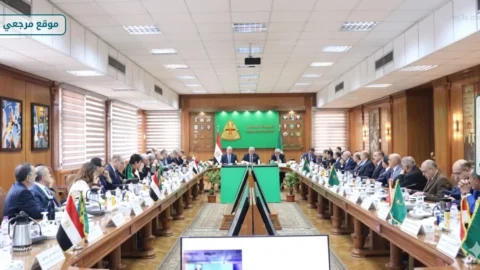 تنسيق الجامعات