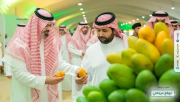 زراعة المانجو