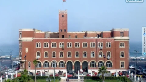 جامعة الإسكندرية