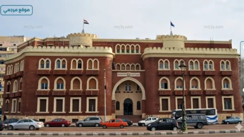 جامعة الإسكندرية