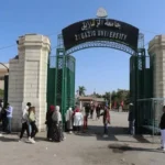 طالبات جامعة الزقازيق يطورن مشروع نانوي لعلاج سرطان الرئة