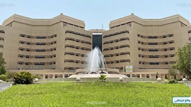 جامعة الملك عبدالعزيز تشارك في تدشين أندية طويق التقنية