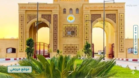 جامعة الوادي الجديد