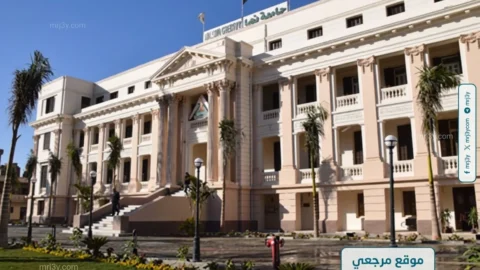 جامعة بنها