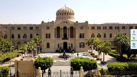 جامعة عين شمس