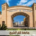جامعة كفر الشيخ تناقش الذكاء الاصطناعي في تطوير التمريض