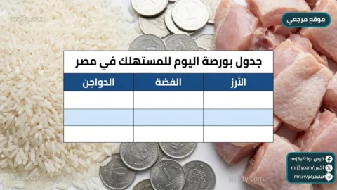 جدول بورصة الأرز والفضة والدواجن اليوم في مصر للمستهلك