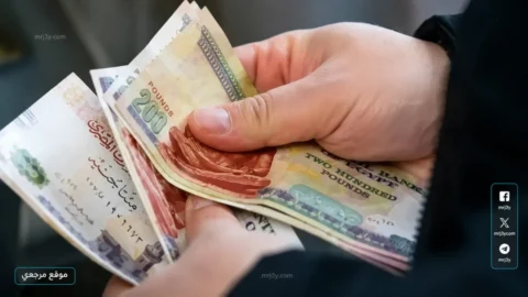 جدول صرف معاشات شهر يونيو 2026