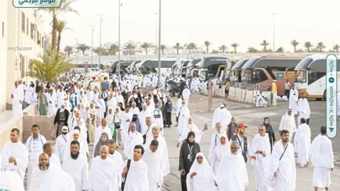 حجاج السياحة