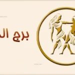 حظك اليوم برج الجوزاء 11 أبريل 2026 يكشف فرصة مهنية وتحولا عاطفيا مهما